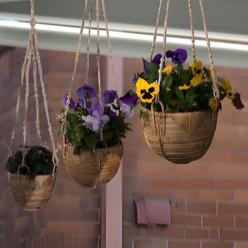 Macrame Plant Hangers