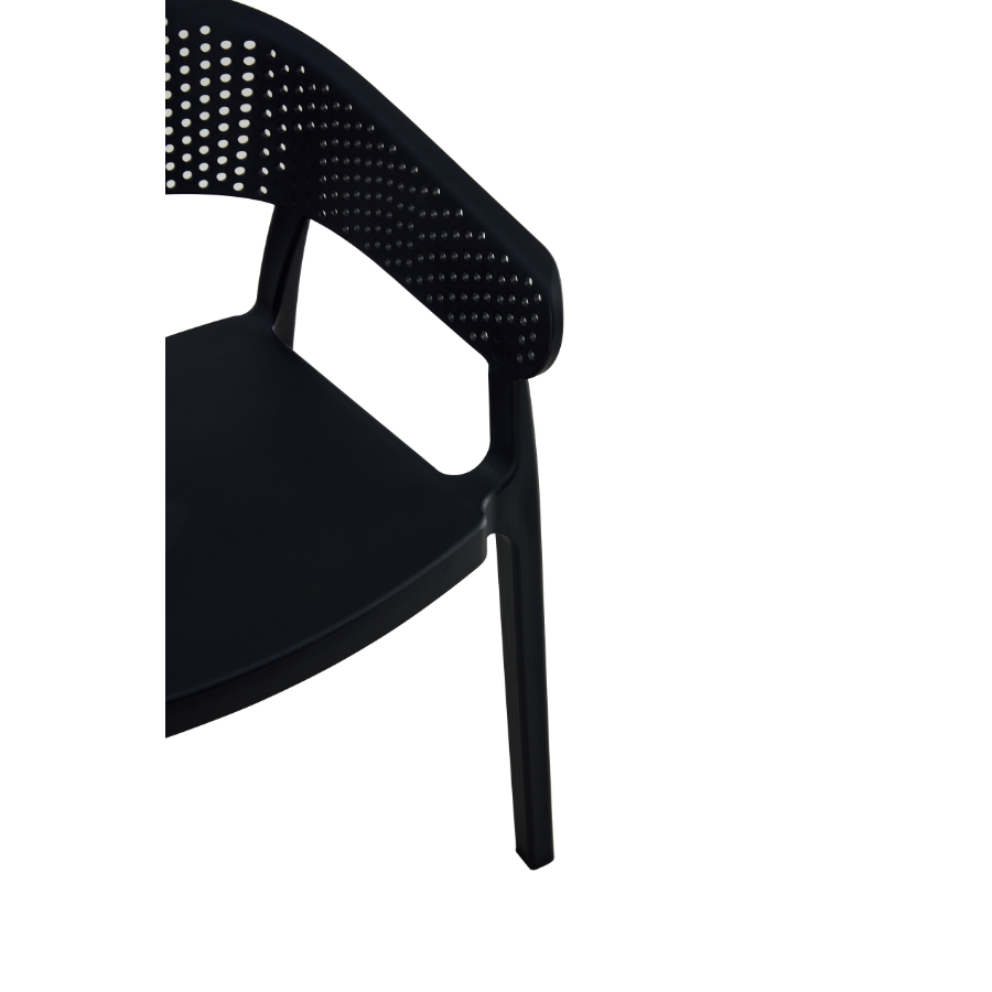 Purchase Santacruz Black Outdoor Chair