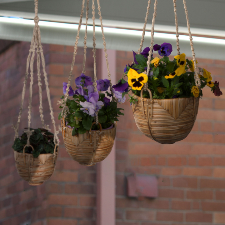 Set Of 3 Savar Handmade Cane Macrame Hanging Planters & Pot Holder