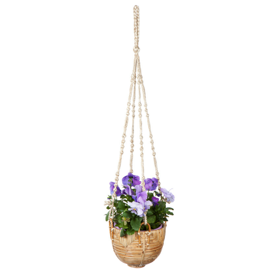 Set Of 3 Savar Handmade Cane Macrame Hanging Planters & Pot Holder