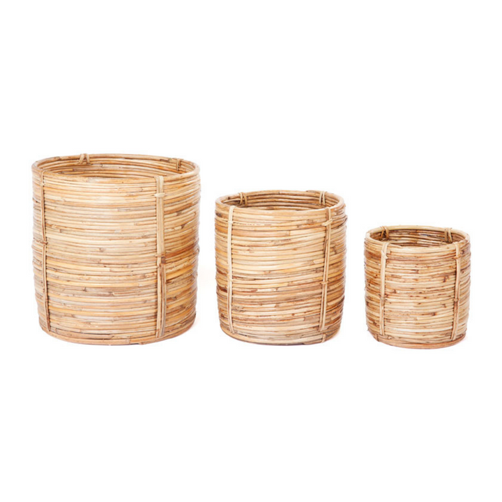 Set of 3 Ubud Handmade Natural Cane Storage Basket and Planter