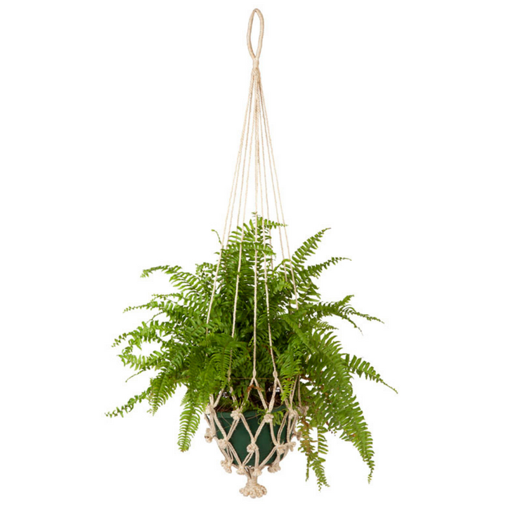 Set Of 4 Vibhav Handmade Jute Macrame Plant Hanger & Pot Holder - 105 cm