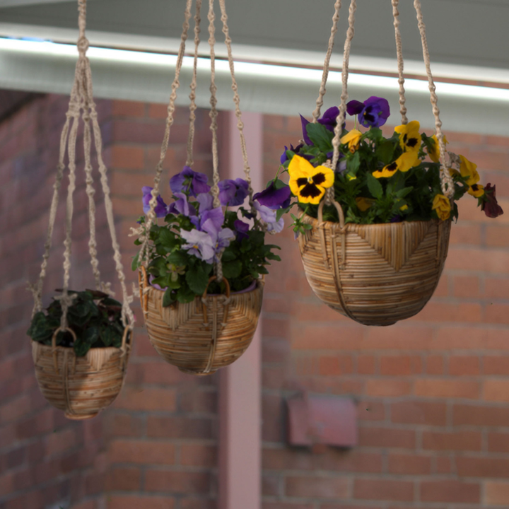 Set Of 3 Savar Handmade Cane Macrame Hanging Planters & Pot Holder - Macrame Plant hanger Fab Habitat