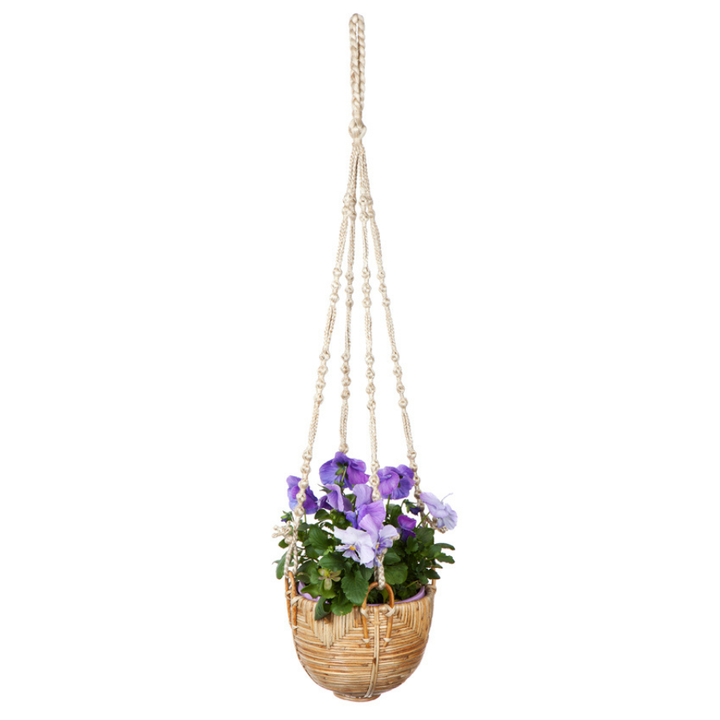 Set Of 3 Savar Handmade Cane Macrame Hanging Planters & Pot Holder - Macrame Plant hanger Fab Habitat