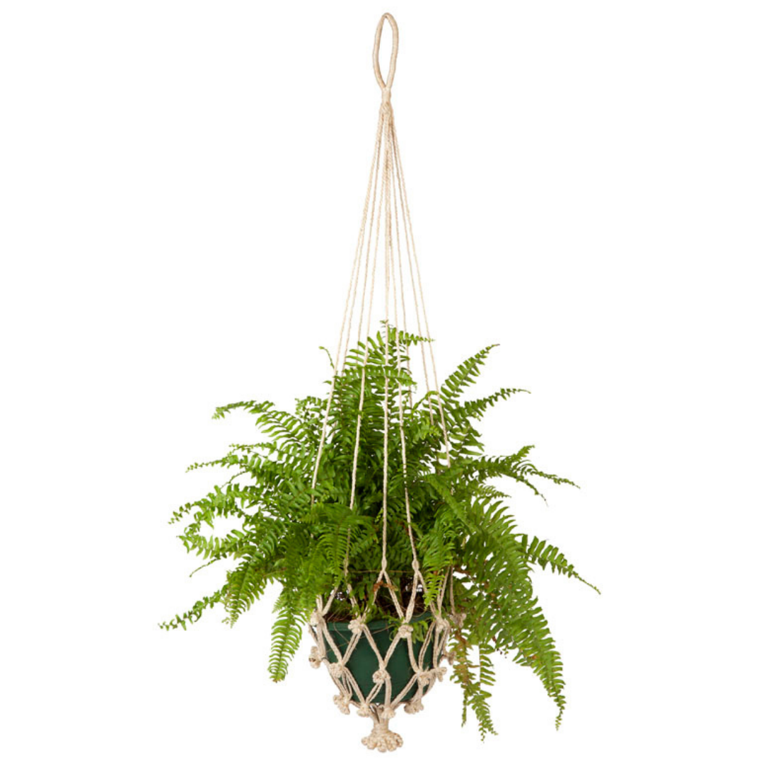 Set of 2 Vibhav Handmade Jute Macrame Plant Hanger and Pot Holder - 105 cm - Macrame Plant hanger Fab Habitat