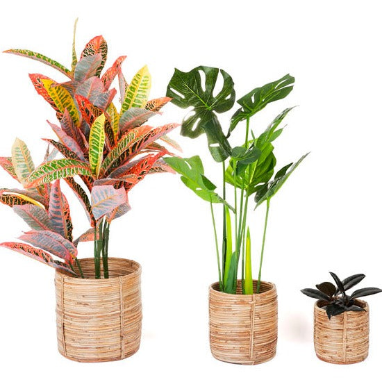 Set of 3 Ubud Handmade Natural Cane Storage Basket and Planter - Storage Baskets Fab Habitat