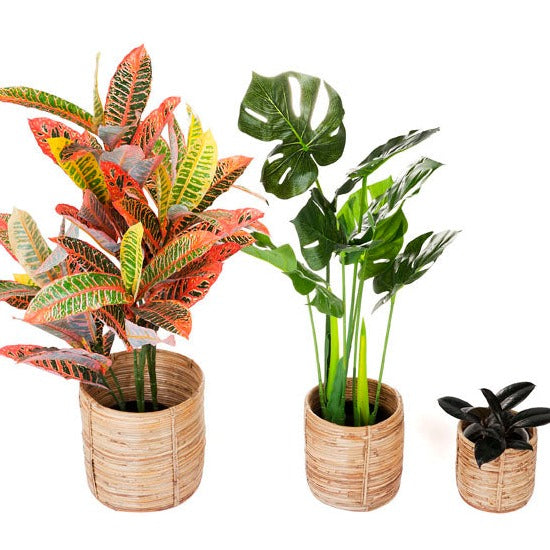 Set of 3 Ubud Handmade Natural Cane Storage Basket and Planter - Storage Baskets Fab Habitat