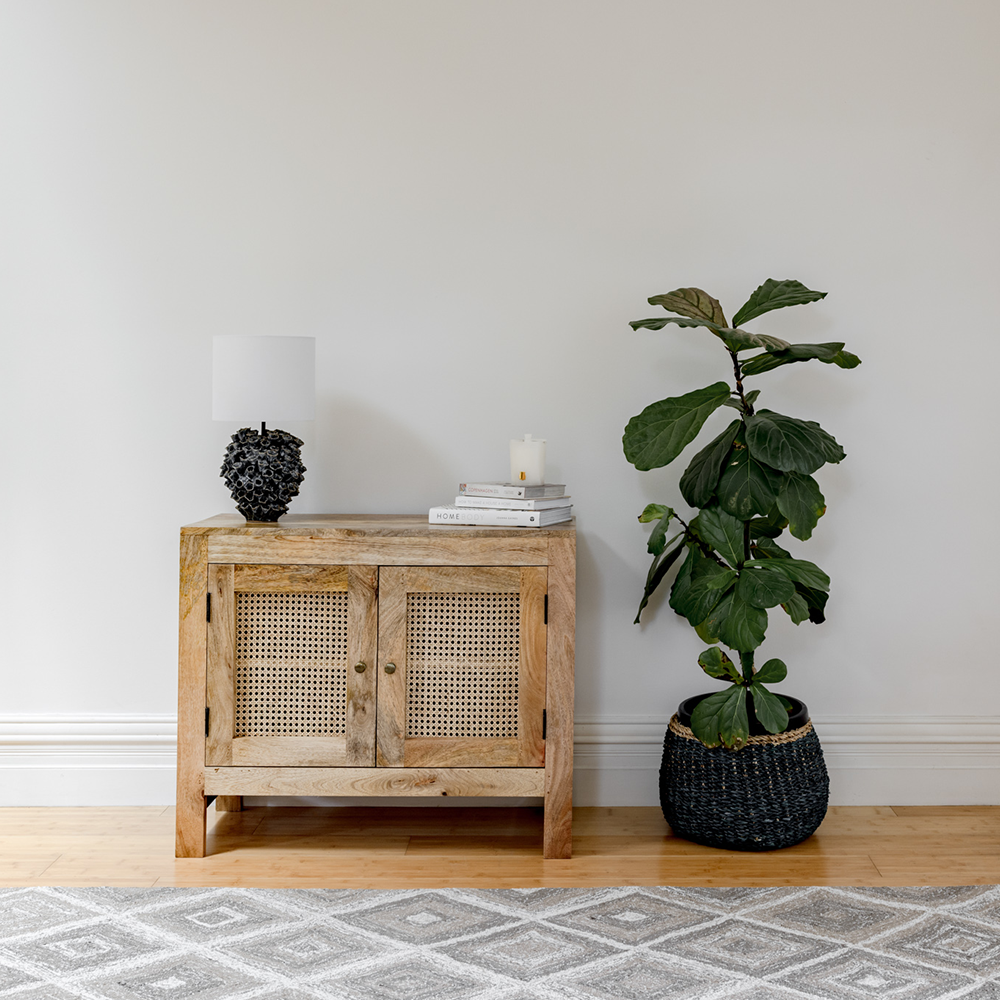 Byron Natural 2 Doors Mango Wood Hallway Rattan Sideboard Cabinet - TV Units Fab Habitat